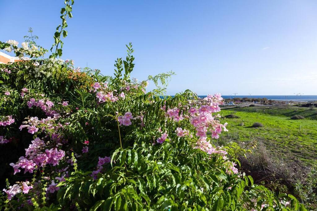 Tejita Beach La Tejita Kültér fotó
